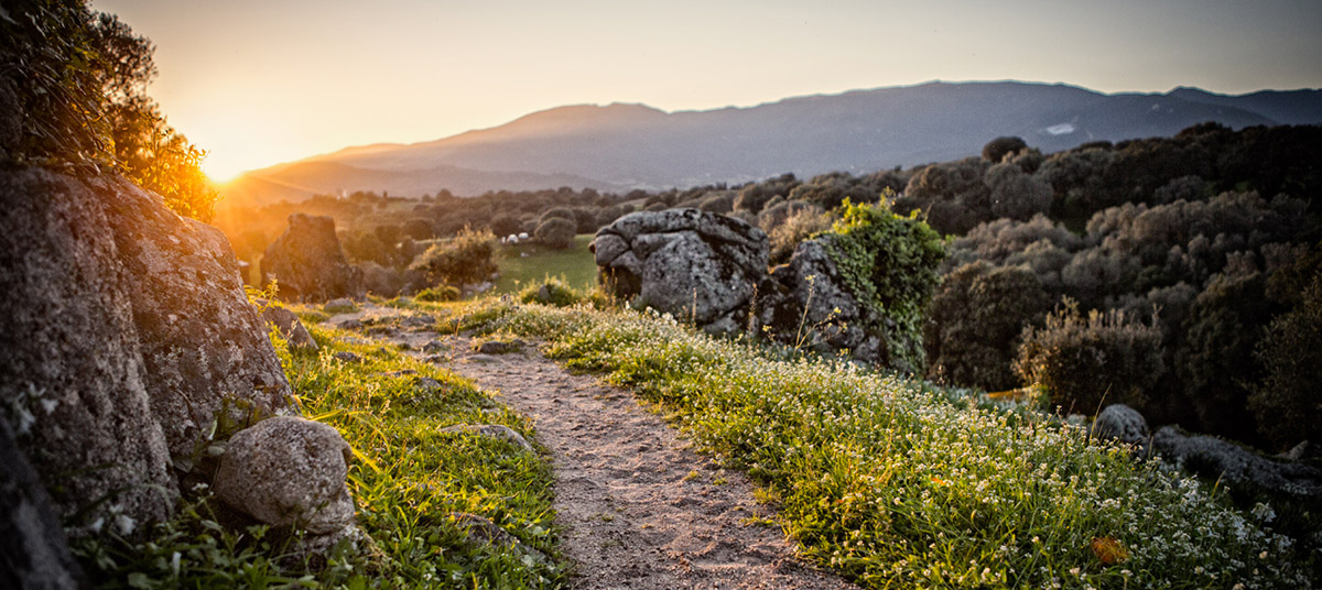 Corsica